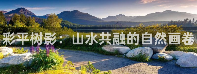 新宝GG都有哪些计划