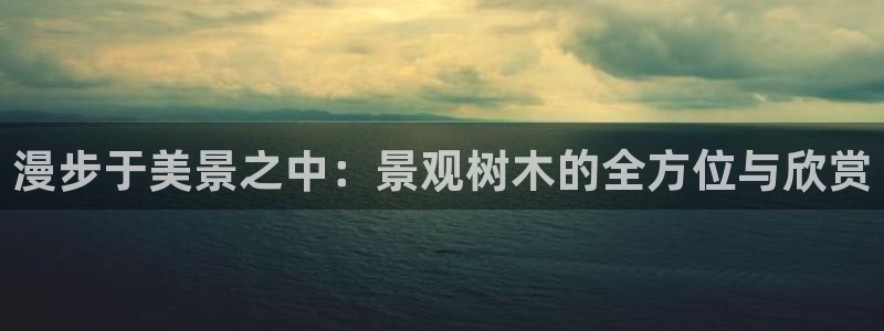 新宝gg入口网址