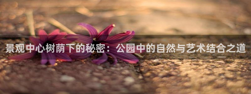 新宝gg招商42873