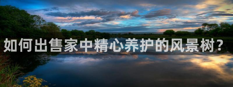 新宝gg娱乐：如何出售家中精心养护的风景树？